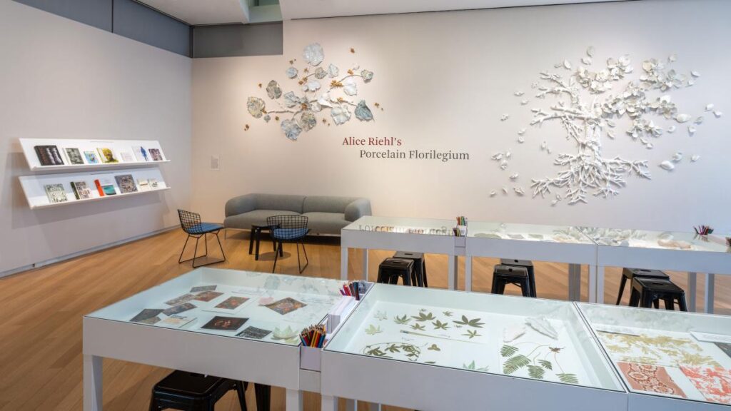 Una vista amplia de una galería de arte con paredes de color crema y suelo de madera clara, dedicada a la exhibición "Alice Riehl's Porcelain Florilegium". En la pared, hay dos grandes esculturas orgánicas de porcelana blanca que representan ramas, hojas y flores, junto con el título de la muestra en letras rojas. Debajo de las obras, hay un sofá gris moderno y dos sillas de alambre negro con cojines azules. En primer plano, varias mesas de exposición blancas con tapas de vidrio presentan hojas, ilustraciones botánicas y lápices de colores para que los visitantes interactúen. A la izquierda, estanterías blancas montadas en la pared exhiben una selección de libros y catálogos.